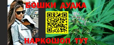 дживик Дубна